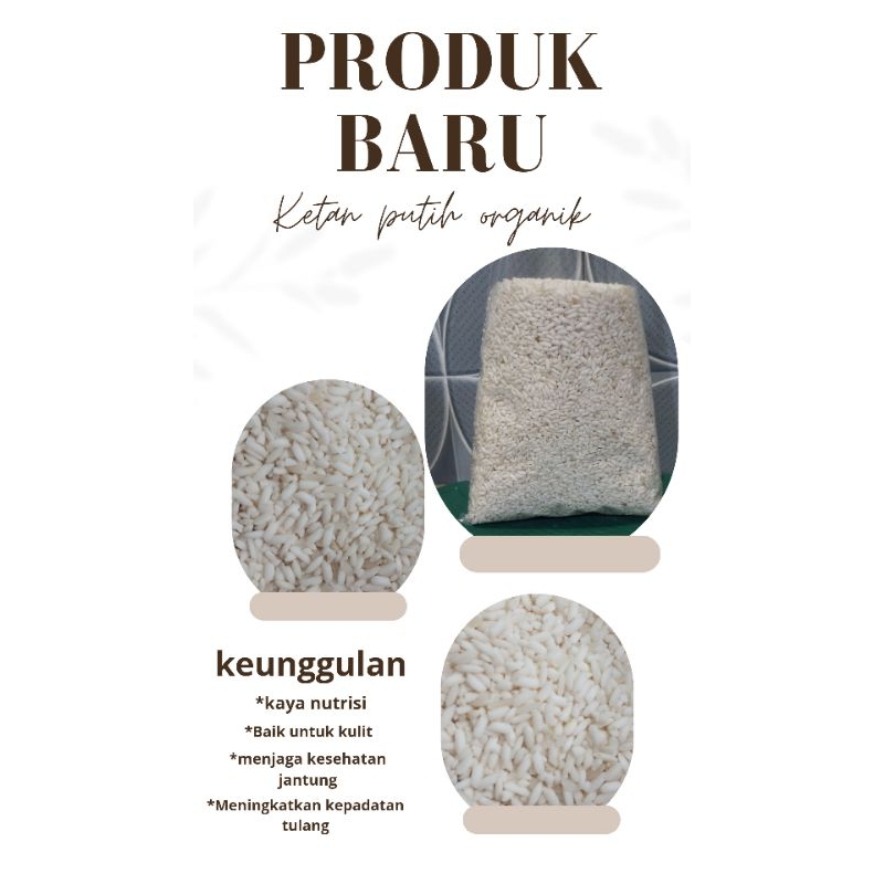 

Beras ketan putih organik 1Kg. langsung dari tangan petani. untuk konsumsi dan Bahan baku olahan