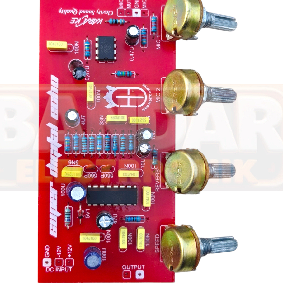 KIT ECHO 2 MIC, ECHO SUPER DIGITAL REVERB