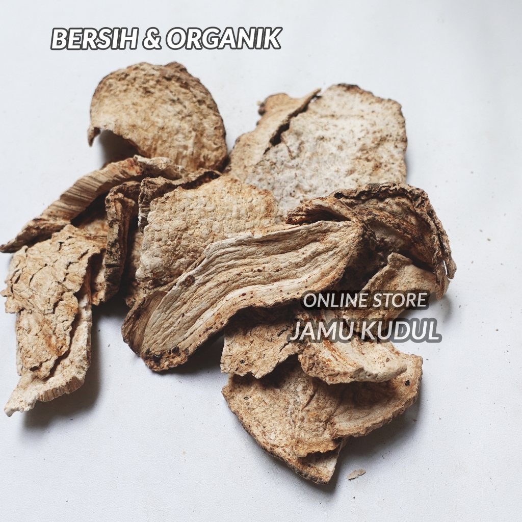 

Bidara Upas Kering 250gr Organik & Asli