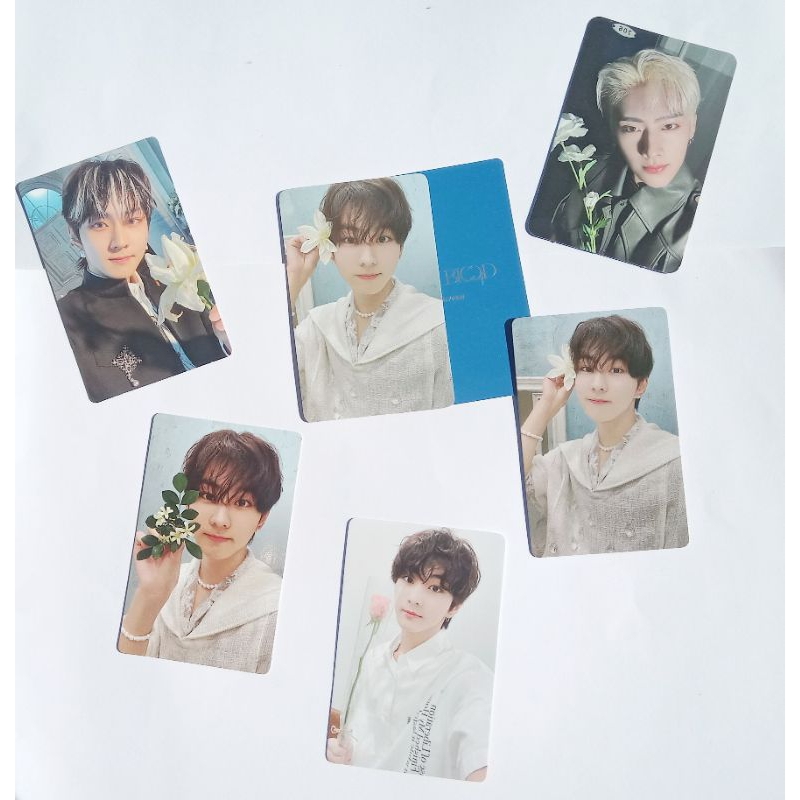 official photocard jungwon kalpa bunga melet orange blood jungwon yzy r1