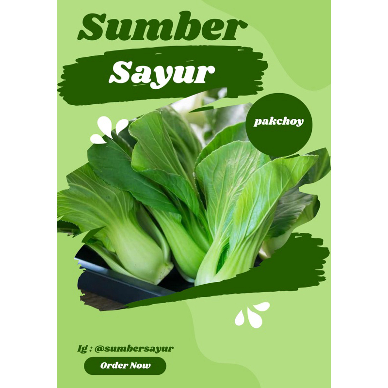 

Pakcoy sumber sayur segar murah Makassar