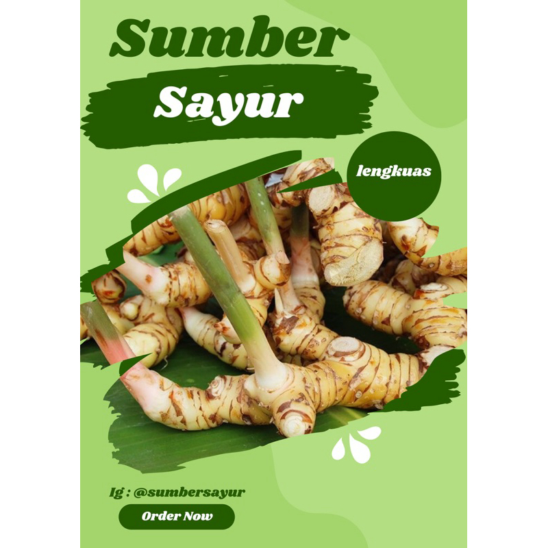 

Lengkuas sumber sayur segar murah Makassar
