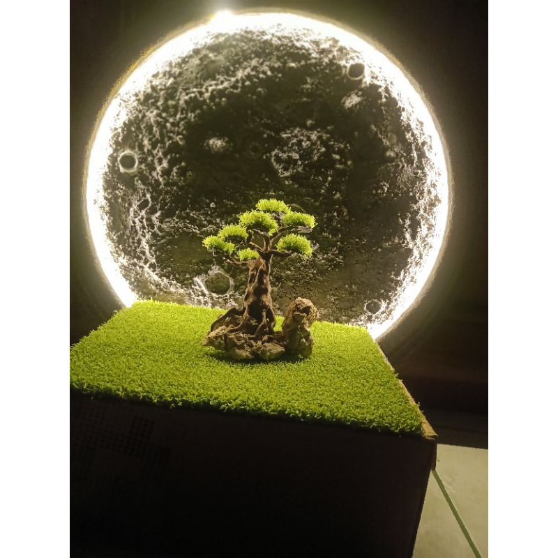 BONSAI AQUARIUM,HIASAN AQUARIUM,BONSAI AQUASCAPE SINTETIS