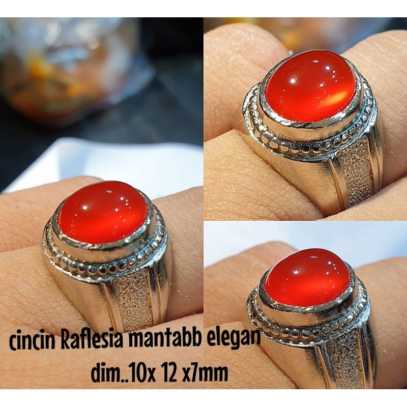 BATU CINCIN AKIK RAFLESIA