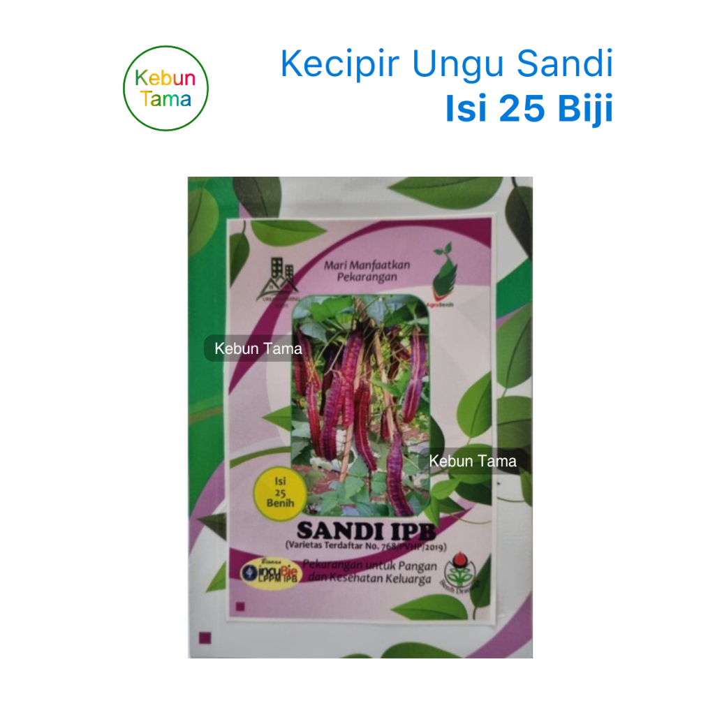 Benih Kecipir / Jaat Sandi IPB Kecipir Ungu Benih Dramaga Isi 25 Biji