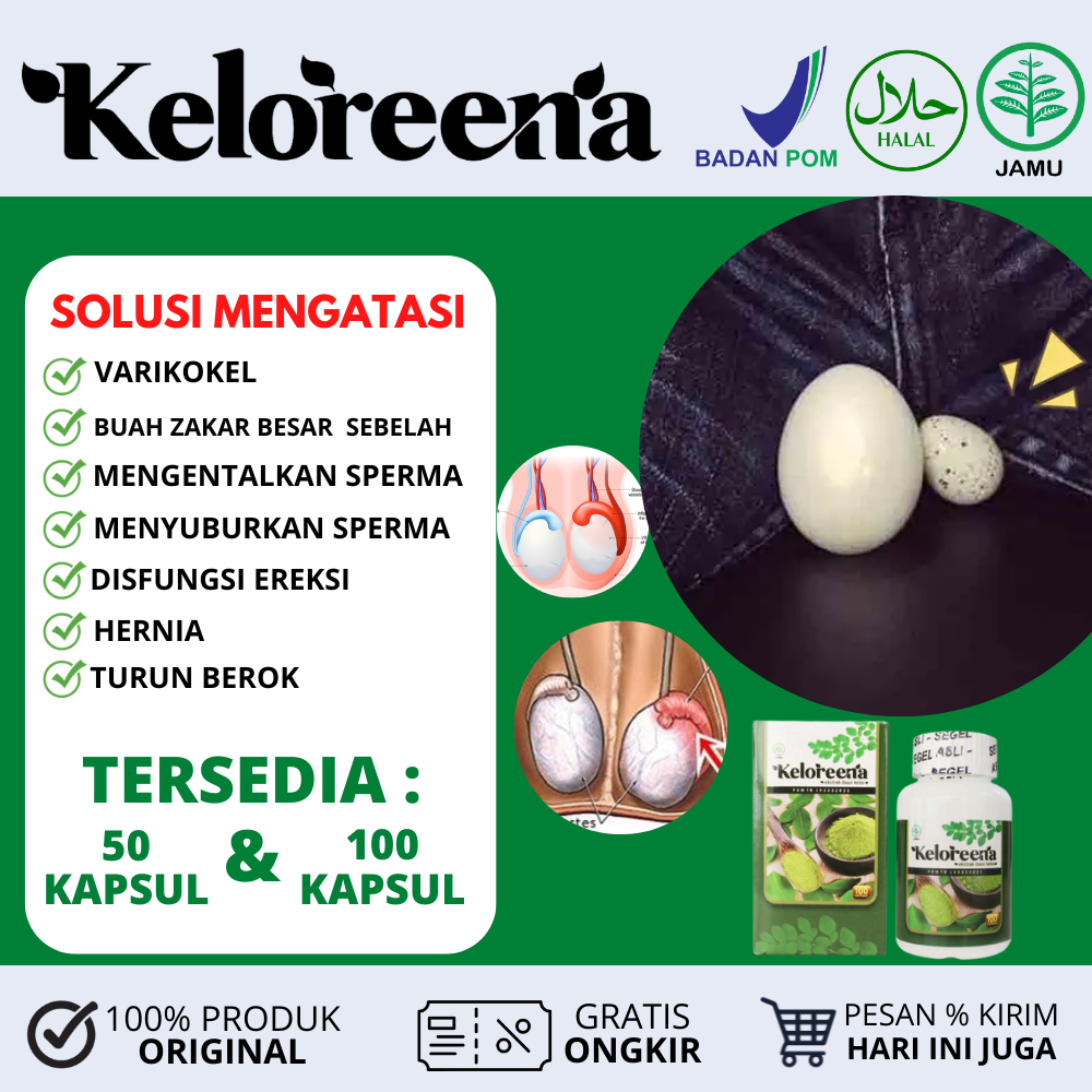 Obat varikokel / Mandul / Buah Zakar Besar Sebelah / Obat Pengental sperma / Penyubur sperma Pria / 