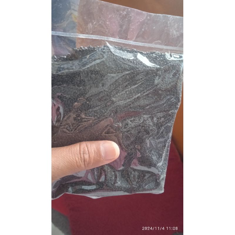 

Repack Biji selasih import 25gr merk yutakachi