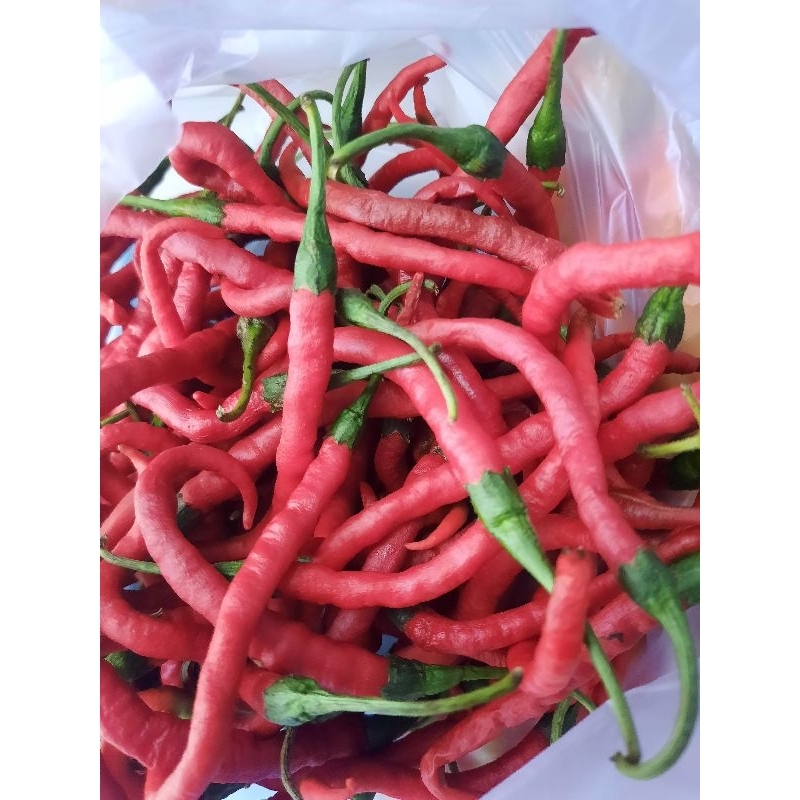 

Cabai merah keriting 250gr