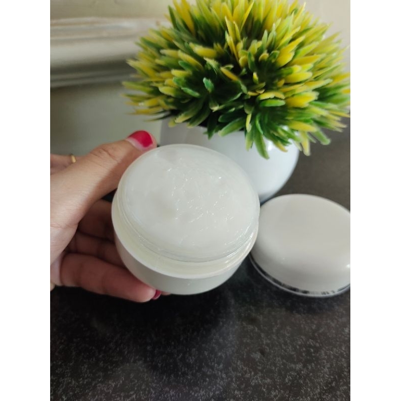 BIBIT PEMUTIH GRADE A BIBIT PEMUTIH CEPUK