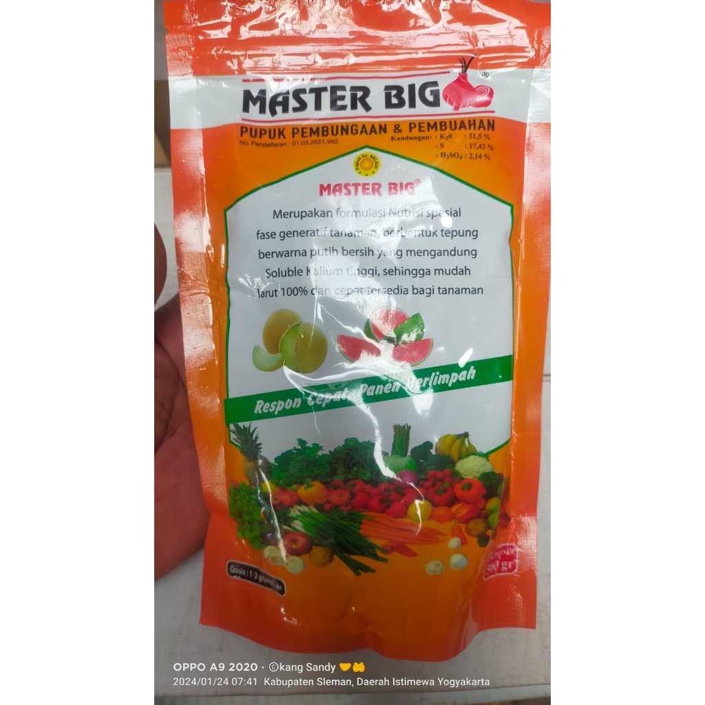 PUPUK PEMBESAR BUAH DAN UMBI MASTER BIG 250 GRAM