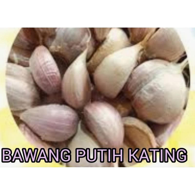 

BAWANG PUTIH KATING ASLI RP 14.000 / 250 GRAM