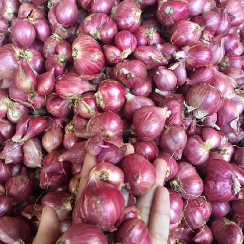 

bawang merah super 500g