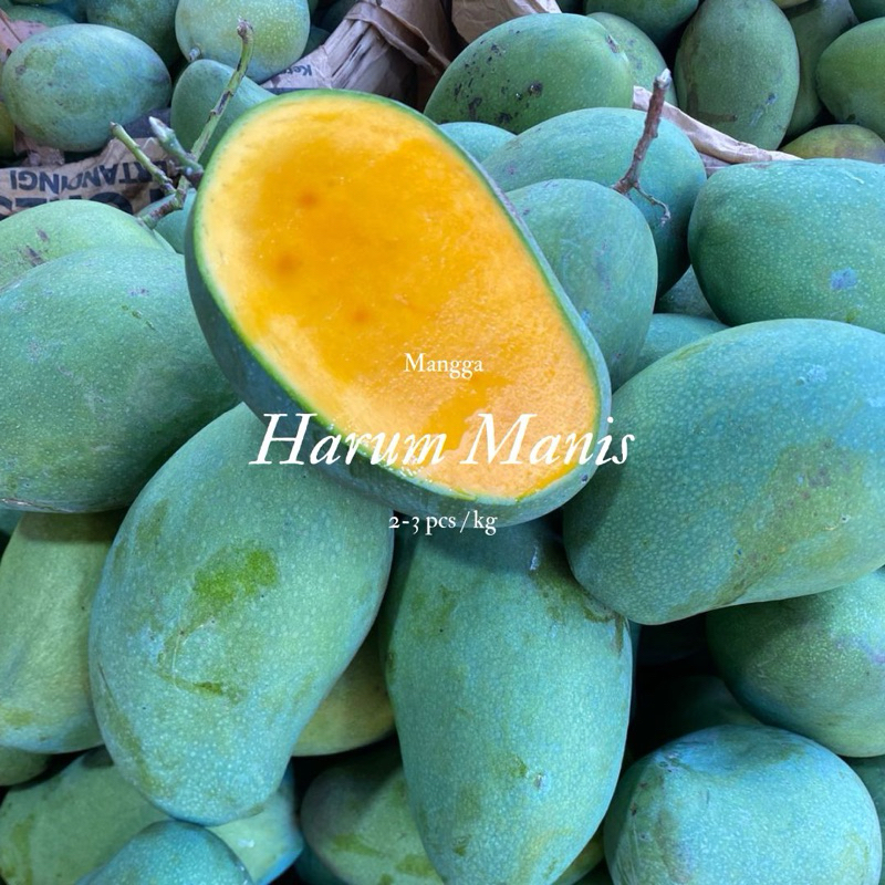 

[SAMEDAY] Mangga arumanis asli probolinggo