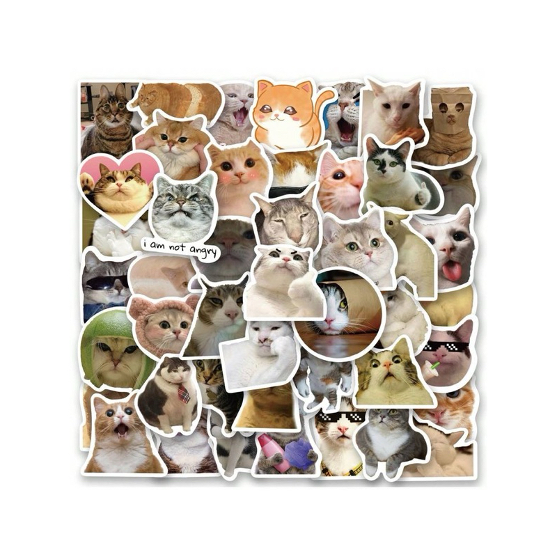 

STICKER MEME KUCING/ STICKER LUCU ANTI AIR/ STICKER VINYL/ STIKER MEME KUCING AESTHETIC/ STICKER HELM/ STICKER LAPTOP