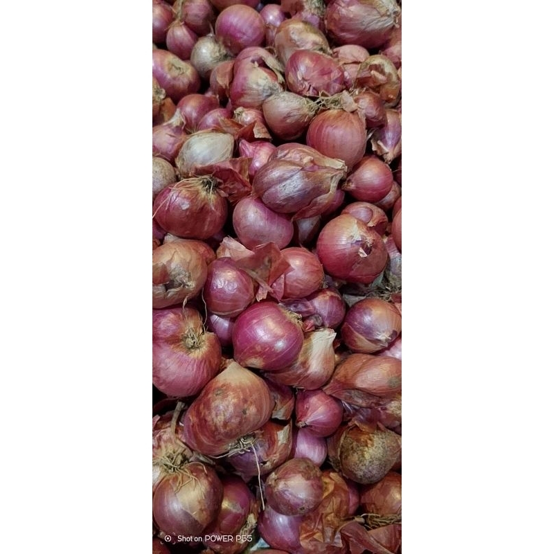 

bawang merah tanggung lokal Nganjuk(1kg bonus 250gr)