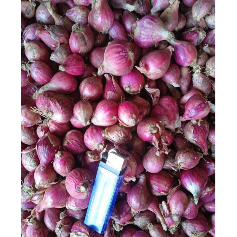 

Bawang Merah Super Kering 500g