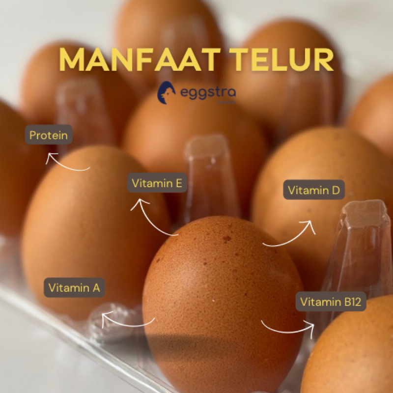 

Eggstra Telur Ayam Negeri 15 Butir Vitamin A & E