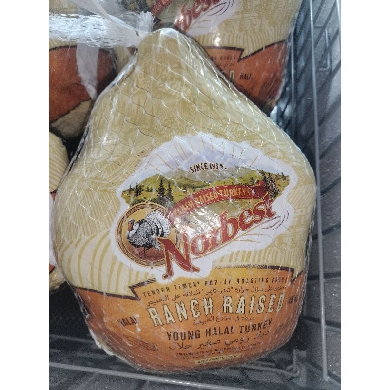 

TURKEY NORBEST AYAM KALKUN IMPOR