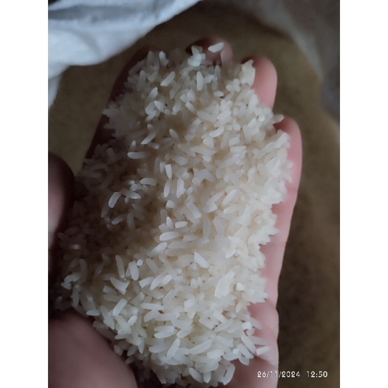 

Berasgambut/SiamRukut/Gumpal/BerasKalimantan