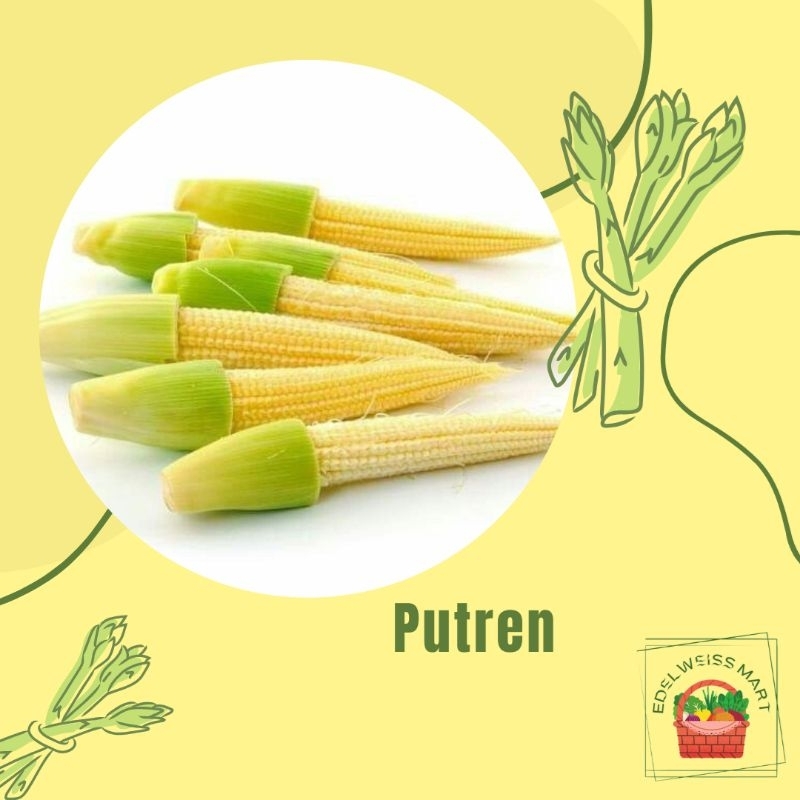 

PUTREN +-100g (FRESH) - INSTANT SEMARANG