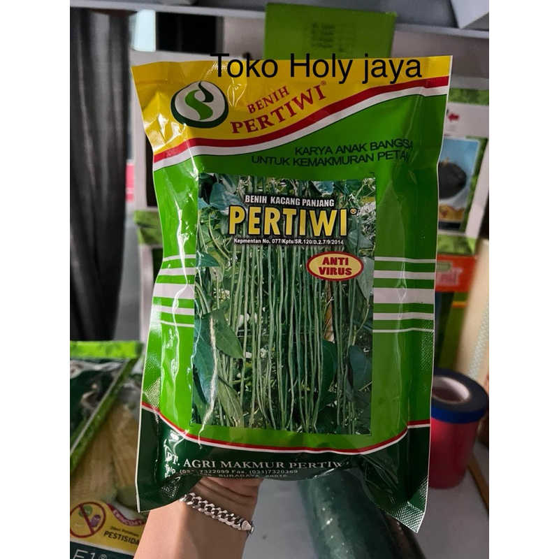 Benih kacang panjang PERTIWI ANVI 500 gram kacang panjang pertiwi 500gr kacang panjang unggul tahan 