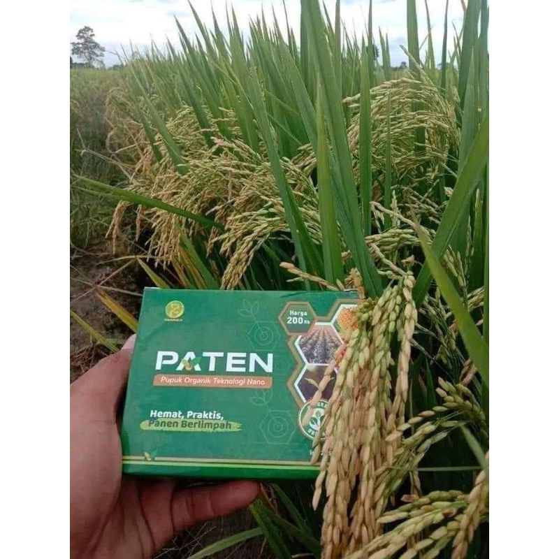 PUPUK PATEN HIJAU DAN PATEN IMUN