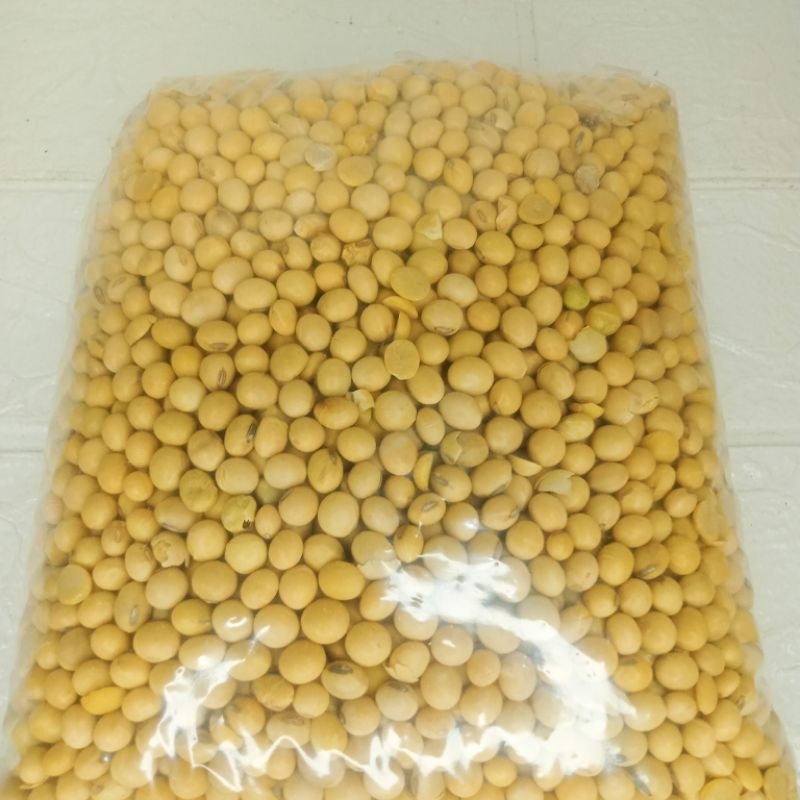 

Kacang Kedelai | Benih Kedelai Siap Tanam | Kacang Kedelai Kemasan Murah