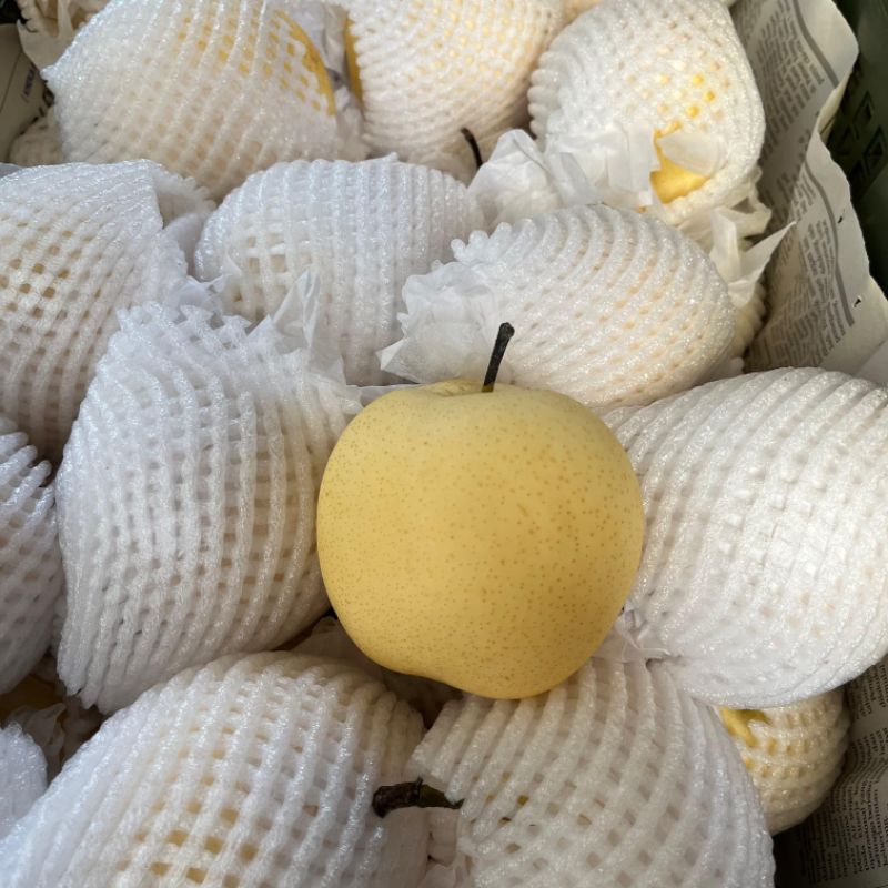 

Pear Pir Century 60 Fresh Manis Premium