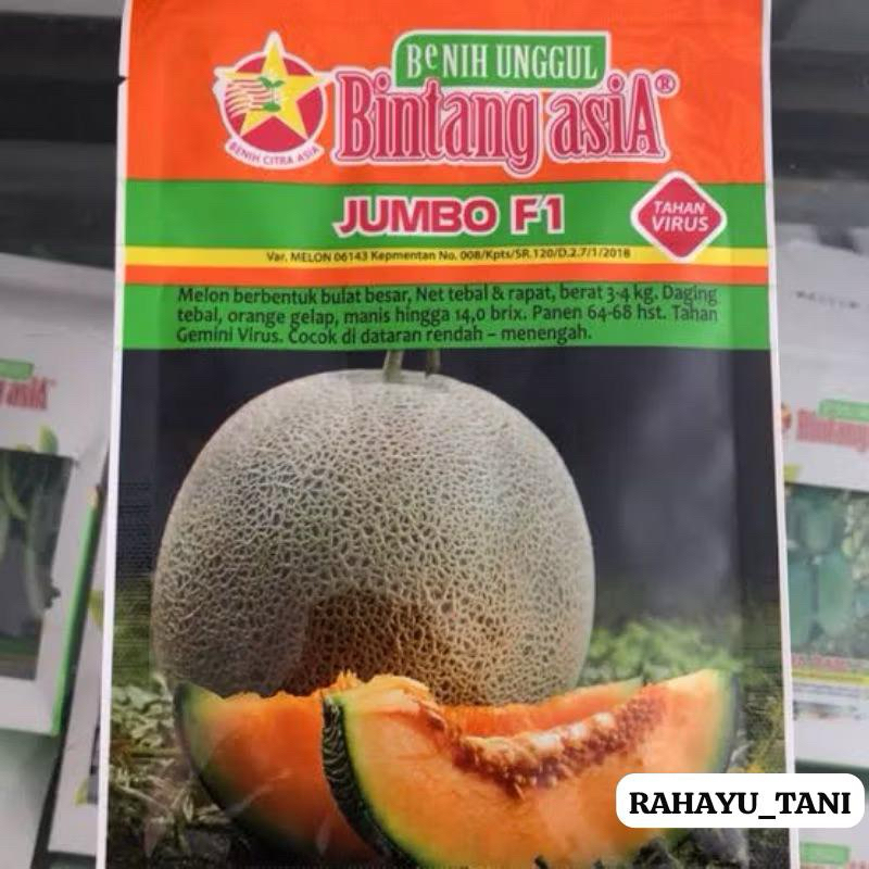 Benih Bibit Melon Orange JUMBO F1 20 gram bintang asia