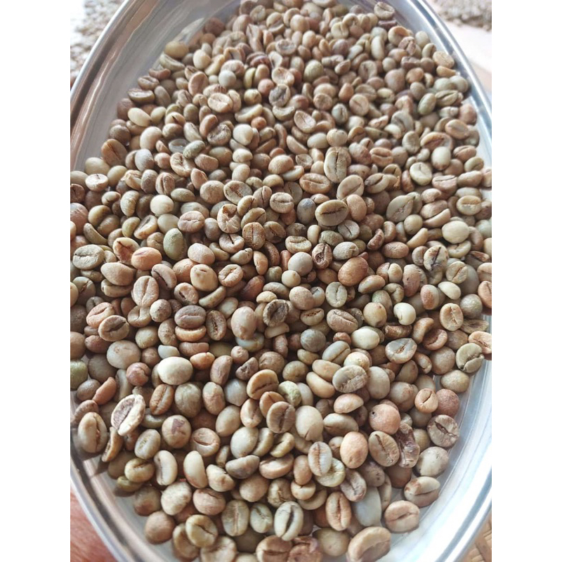 

Biji kopi Gayo Robusta