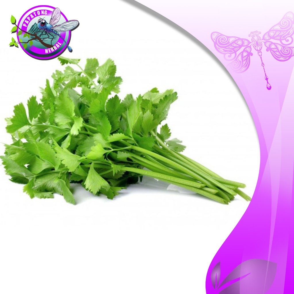 

SALEDRI SAYUR 1 IKAT FRESH - PAPATONG HERBAL