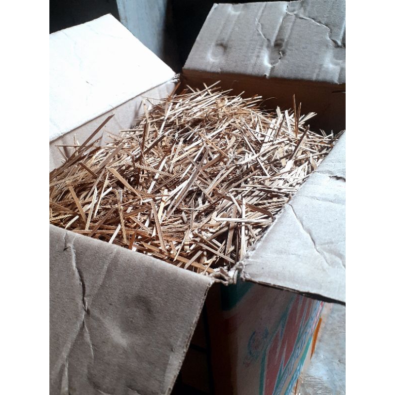 Biting tempe premium