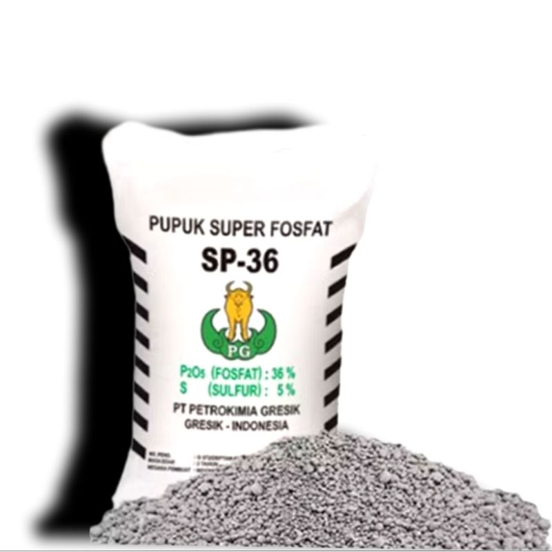 PUPUK SP 36 1KG ASLI