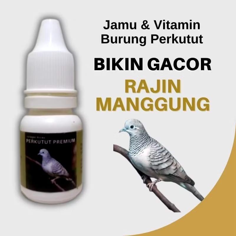 Vitamin dan Doping Burung Perkutut Premium Biar Cepet Gacor Rajin Manggung