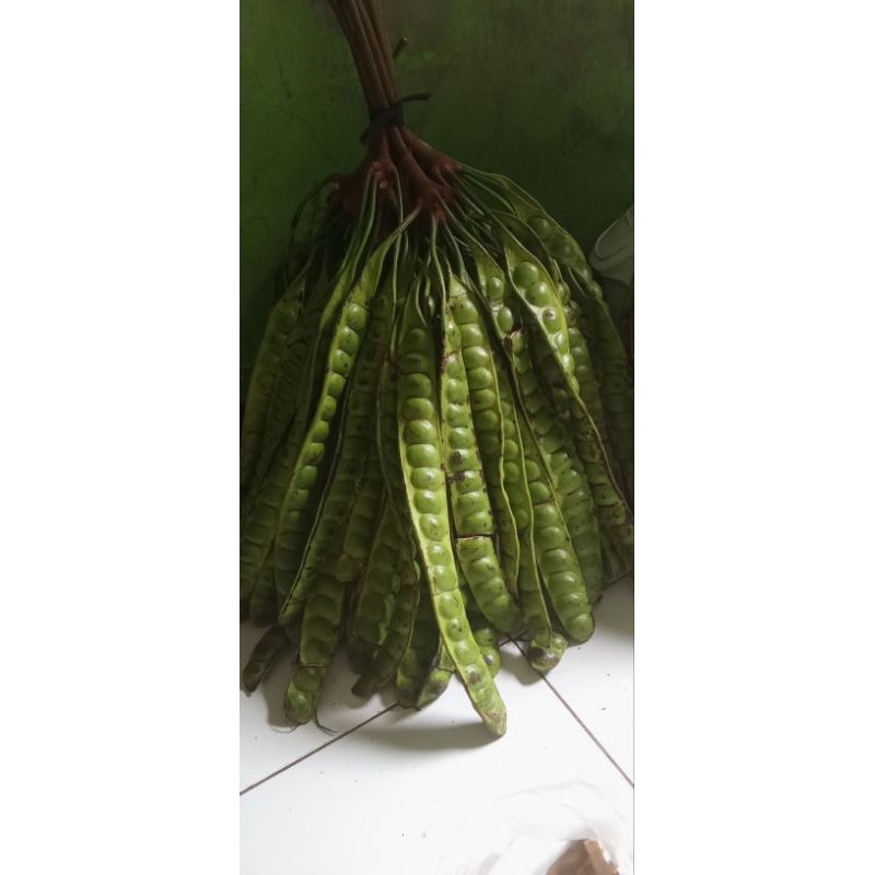 

makanan pete