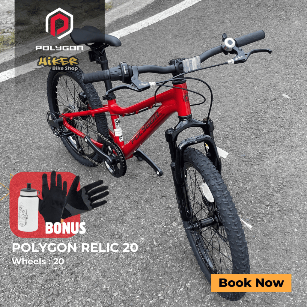 Sepeda Gunung Anak Polygon 20 inch Relic  | Sepeda MTB anak Polygon size 20