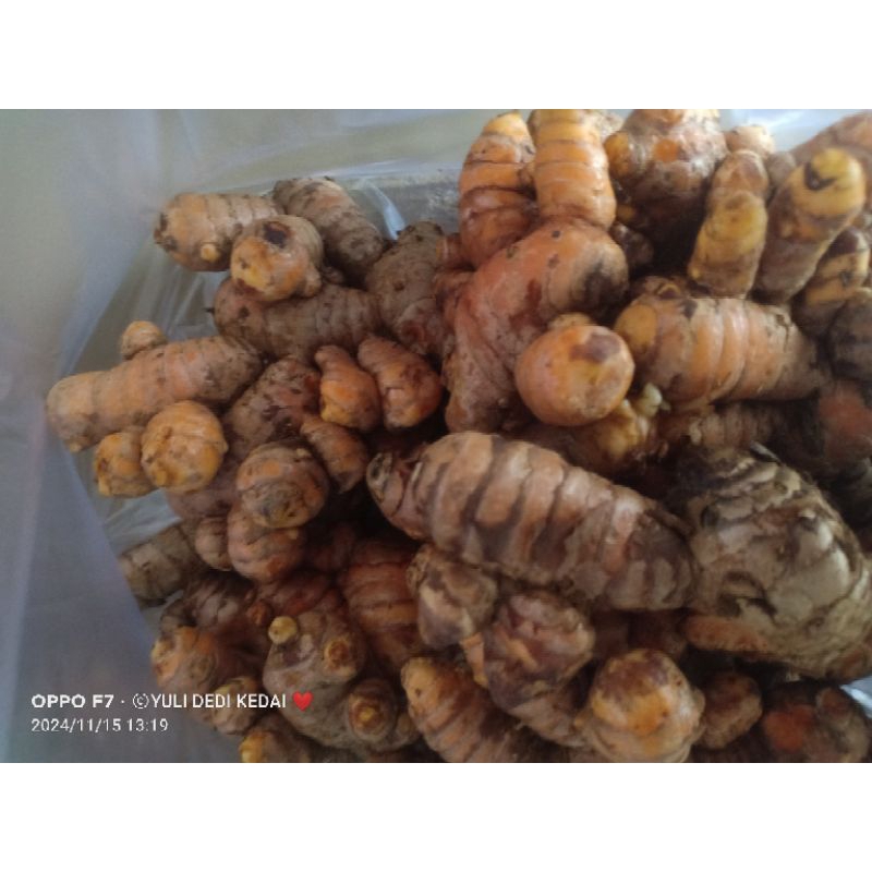 

KUNYIT SEGAR ALAMI MURAH 1KG