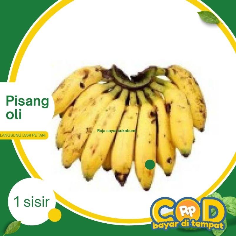 

Pisang oli Raja Sayyur Sukabumi 1 sisir