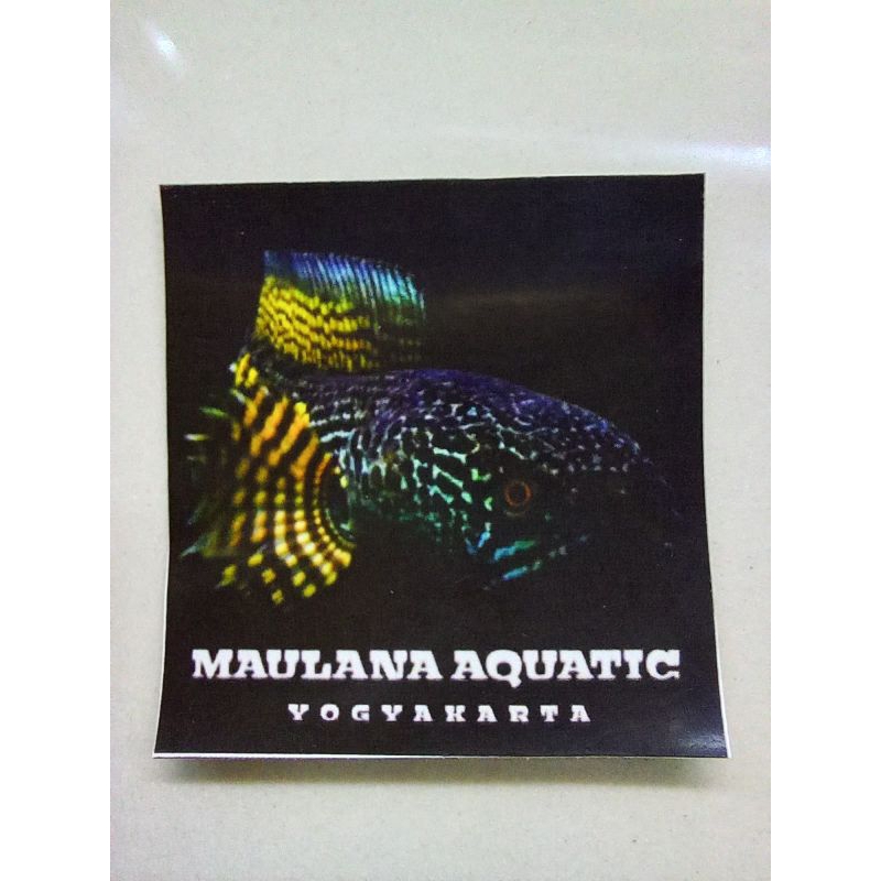 

stiker M4RU YS 150RB PROGRESAN BUNGA