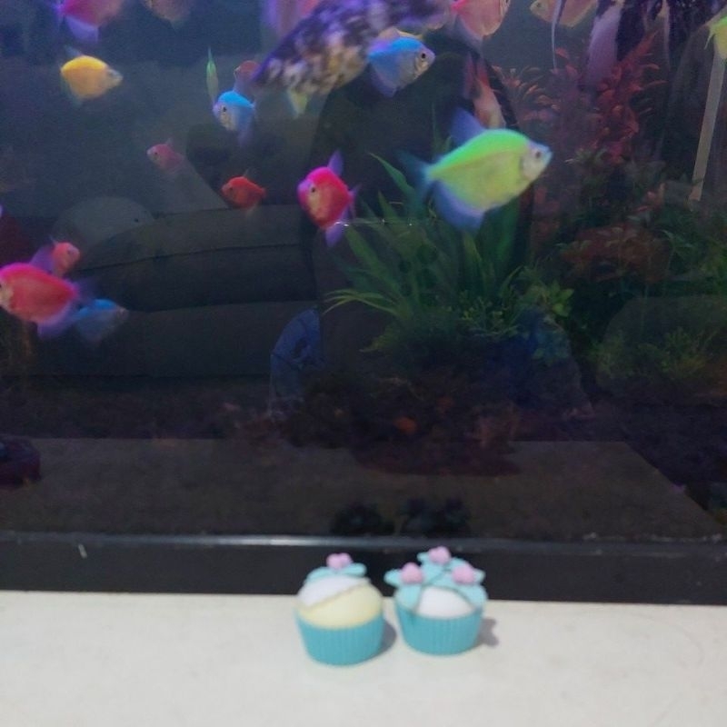 

*.pengapus lucu bentuk kue acak.*