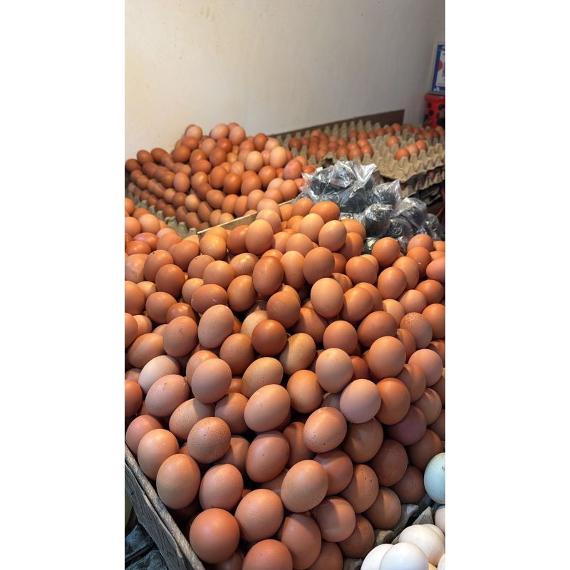 

Telor ayam