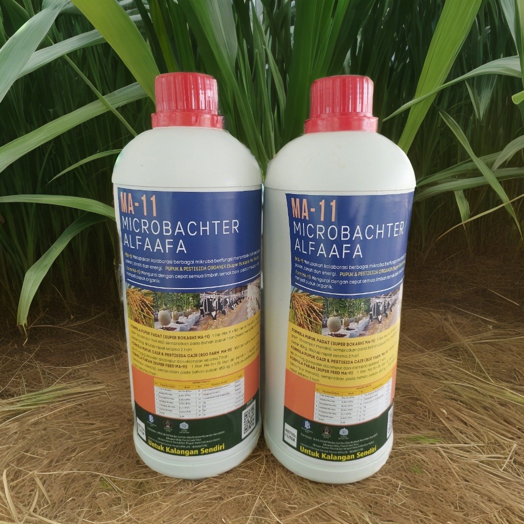 MA 11 microbacteria alfaafa - Pupuk cair  - Obat tanaman - Pupuk Organik