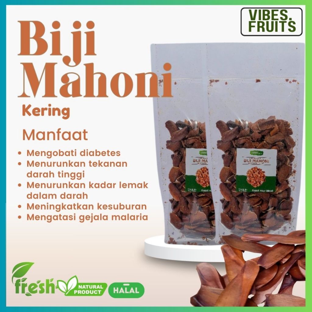 

Biji Mahoni Kering Premium / Mahogany Seeds