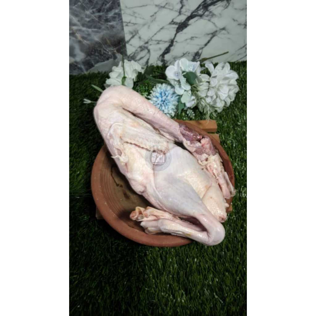 

Bebek Hybrida 1 Ekor ±900Gr