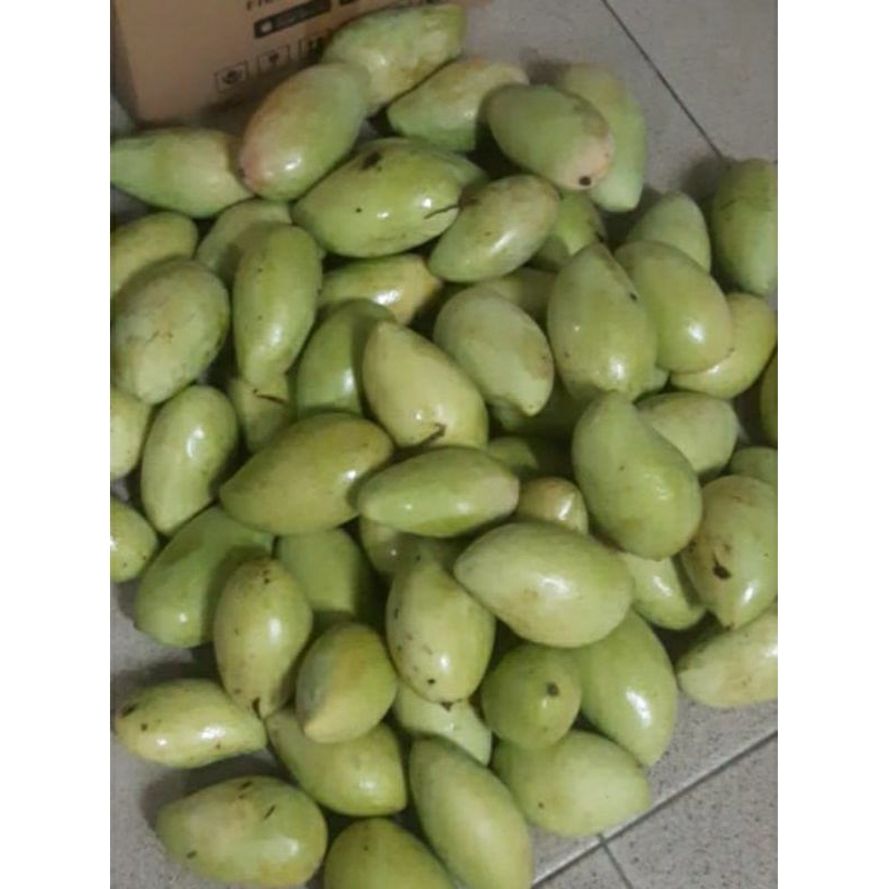 

20kg Mangga LokMai Thailand