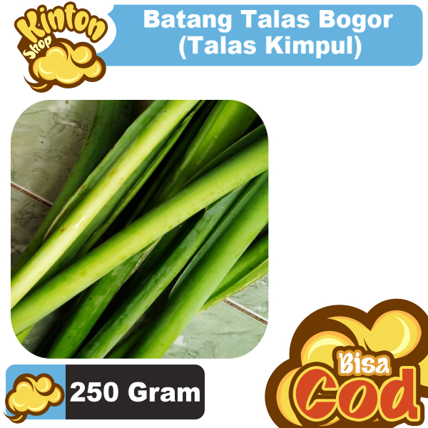 

Batang Talas Per 250 Gram Untuk Masakan Lompong
