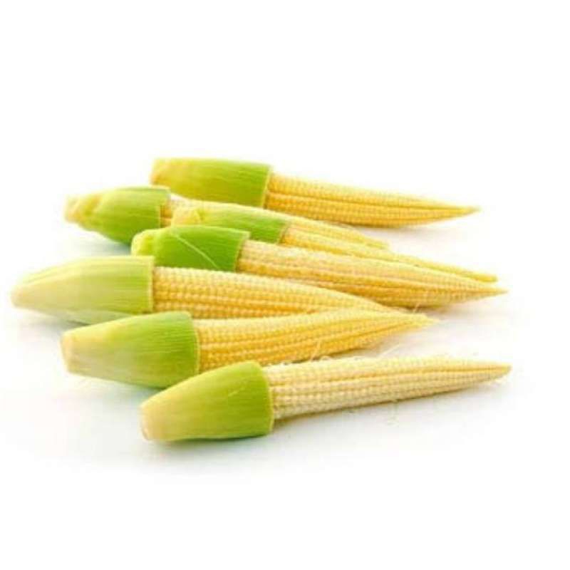 

baby corn