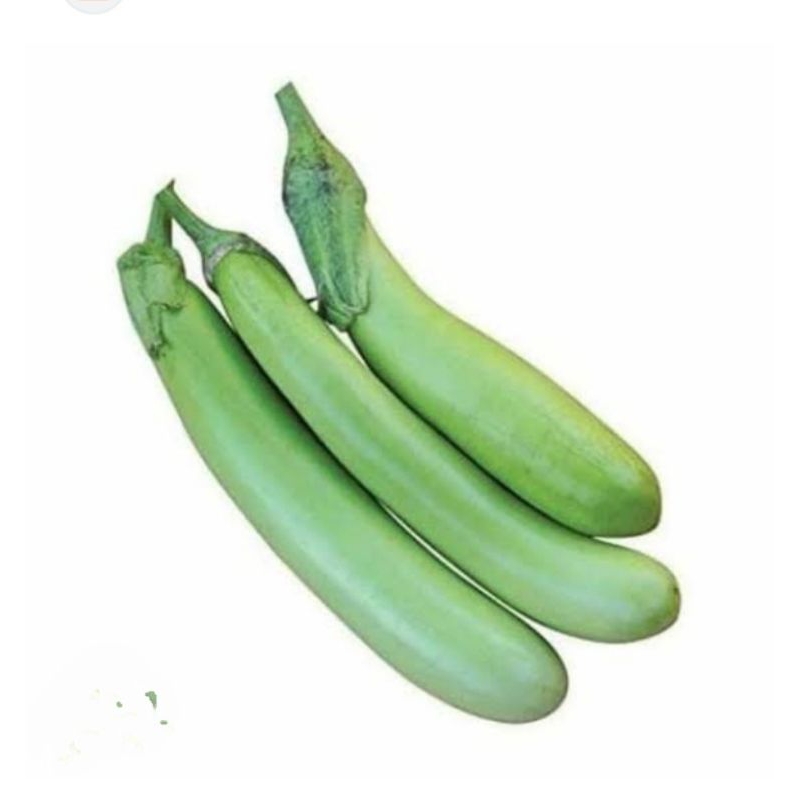 

TERONGIJOPANJANG/TERONGIJOMANIS