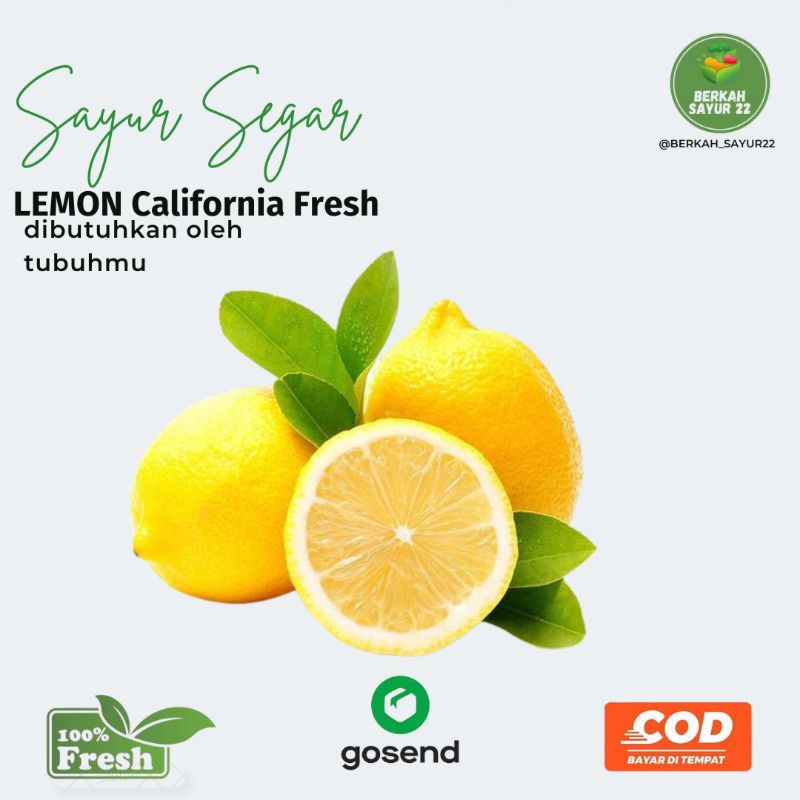 

BERKAH_SAYUR22 Lemon California fresh