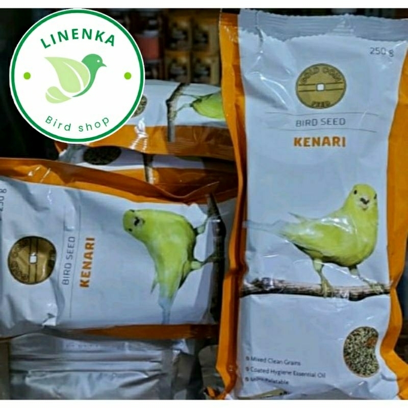 PAKAN KENARI GOLD COIN PAKAN KENARI BERKUALITAS